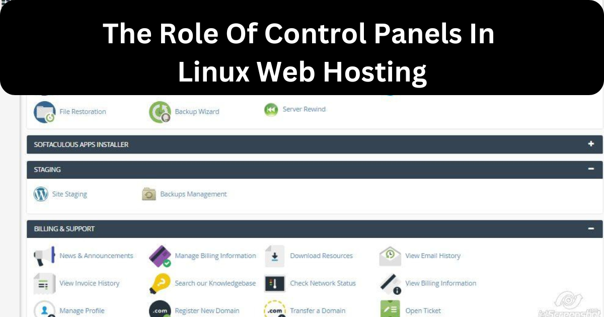 The Role Of Control Panels In Linux Web Hosting